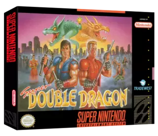jeu Super Double Dragon